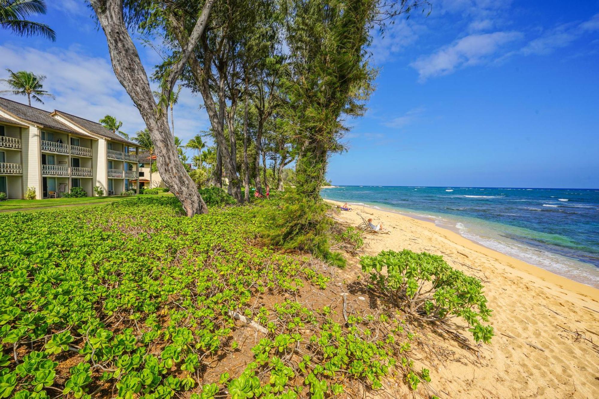 Islander On The Beach Kapa'a Szoba fotó
